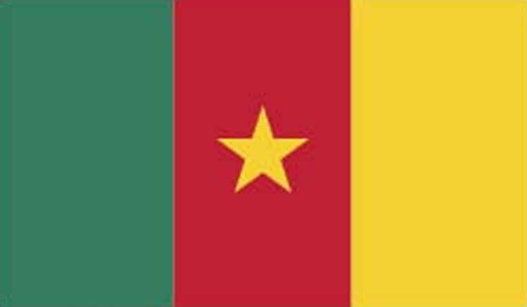 Flag of Cameroon