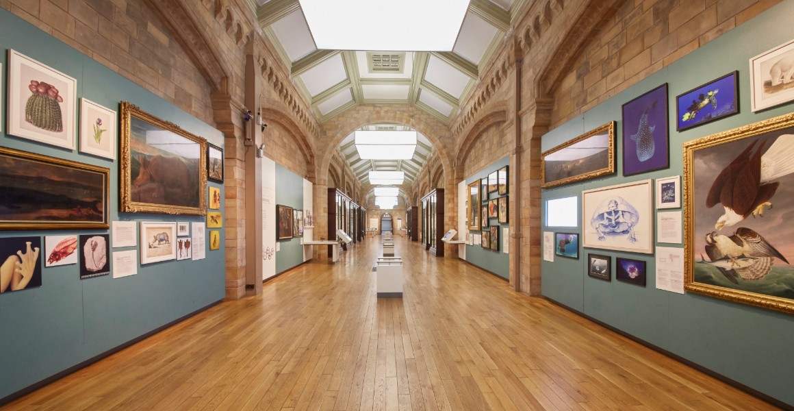 A photograph of the Images of Nature gallery