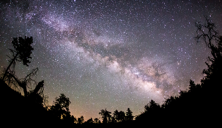 An image of the night sky above some trees.