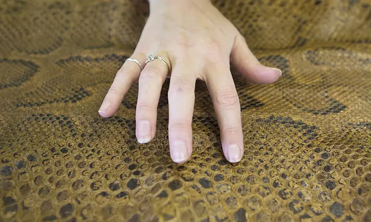 A person touches reptile skin