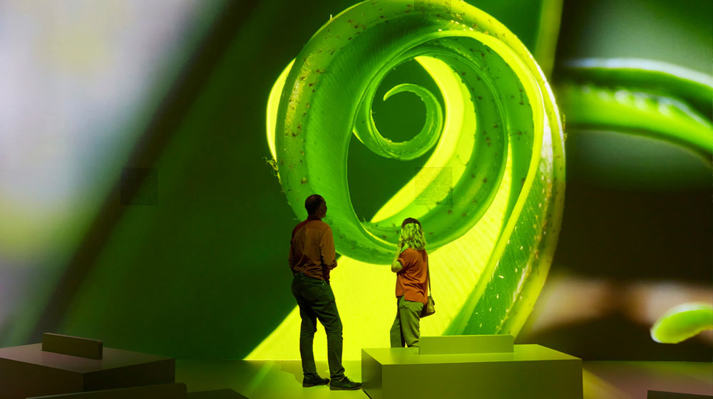 Two people look at a projection of a plant on the wall of Our Story with Sir David Attenborough