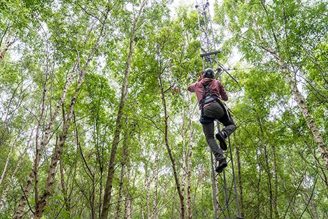 Person wearing safety harness scales a tower in a woodland setting