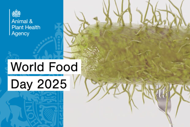Image of a bacteria on the end of a fork with the title, "World Food Day 2025" and the APHA logo