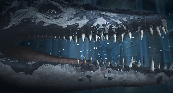 The face of Rhomaleosaurus