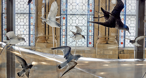 A photograph of a display in the Hintze Hall balconies