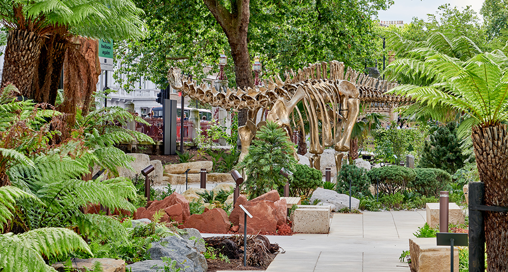 A photograph of Fern our bronze diplodocus cast in our gardens
