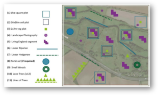 A 1km square, within which different samples are taken and information on landscape features is collected