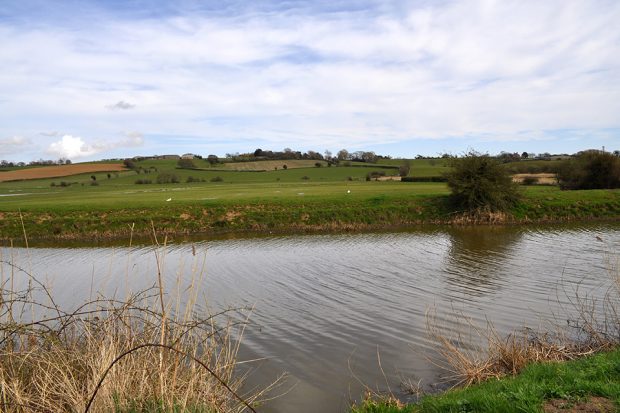 Landscape of marsh and farmland in the Pevensey Levels, East Sussex