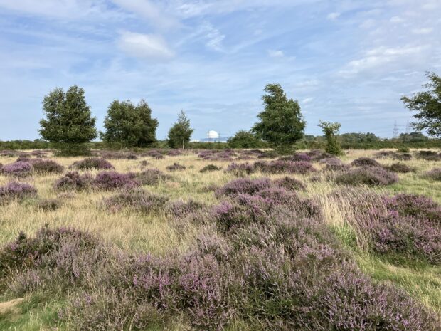 Sizewell B nuclear power plant in the distance behind natural landscape