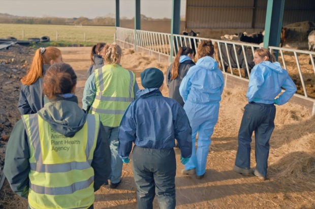 Group of eight individuals walking on a farm next to a cattle enclosure. Their backs are turned and one has a yellow vest with the APHA logo on the back.