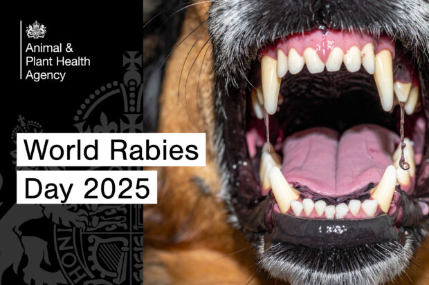 Image of a dog baring it's teeth with the text, "World Rabies Day 2025" overlaid plus the APHA logo.