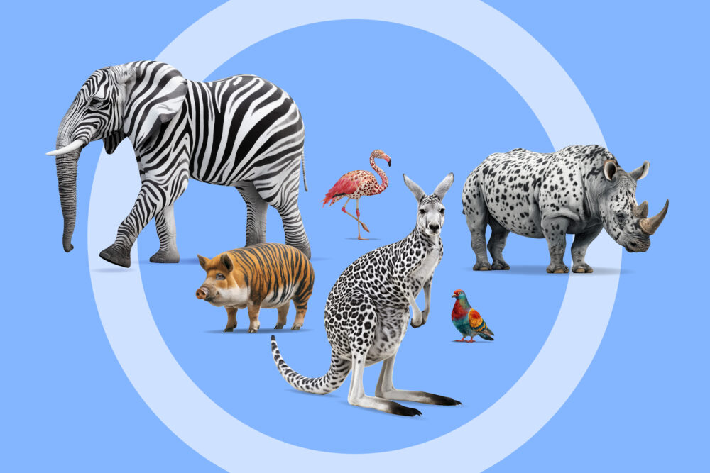 banner photo with a collection of animals