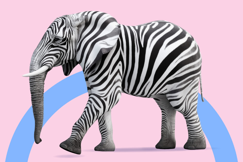 banner photo with a striped elephant