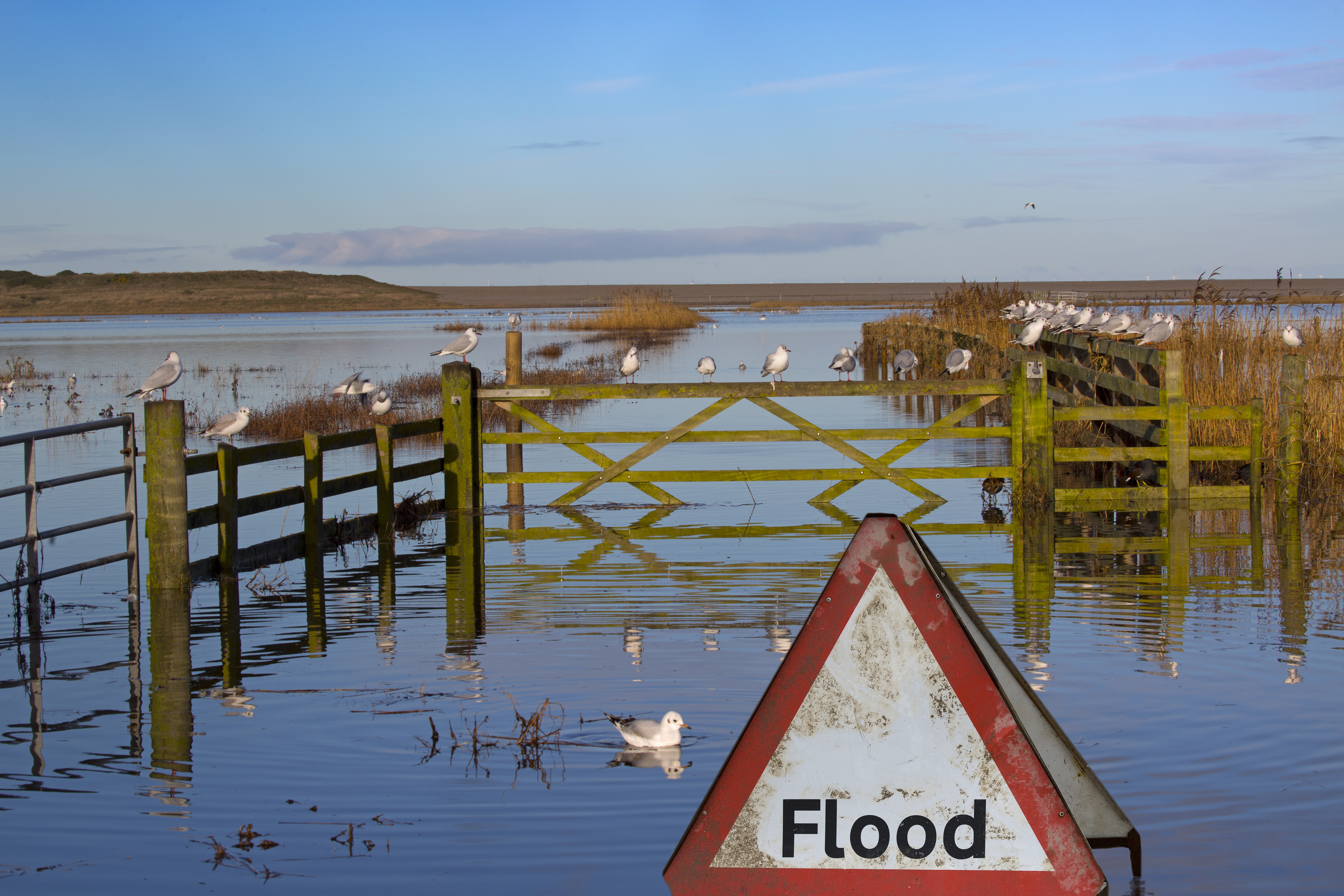 Flooded country road and fields. There is a wooden 5 bar gate in the centre attached to fences and a red triangle flood warning sign at the front.
