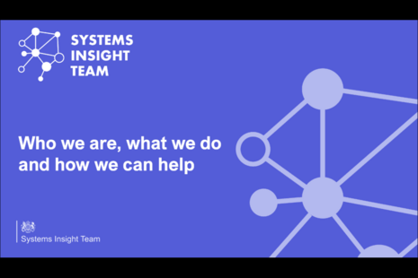 White text on a purple background that reads 'Who we are, what we can do and how we can help'. Logos for the Systems Insight Team are at the top left and bottom left corner.
