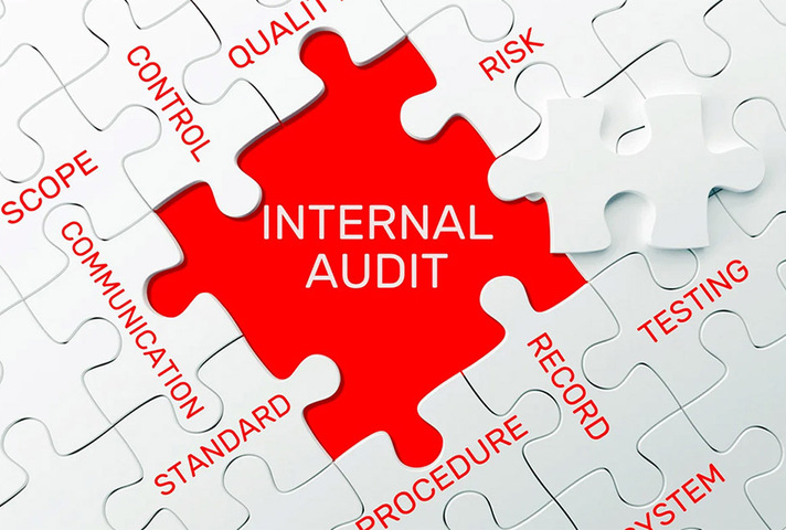 Internal audit jigsaw puzzle piece