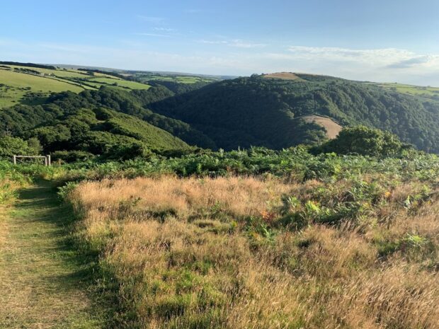 Nature Returns site on Exmoor. Credit: Mike Morecroft