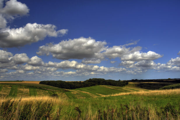 yellow and green fields with many clouds watching over them.